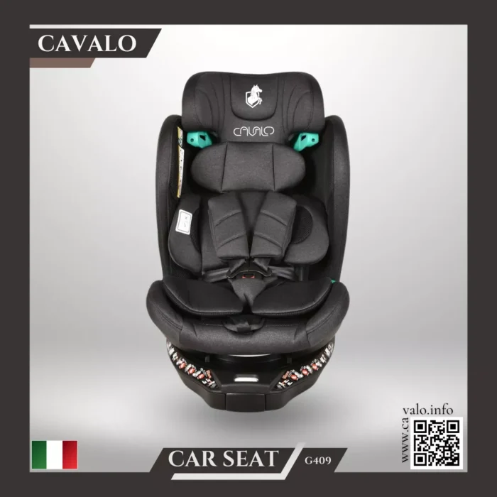 G409 Car Seat