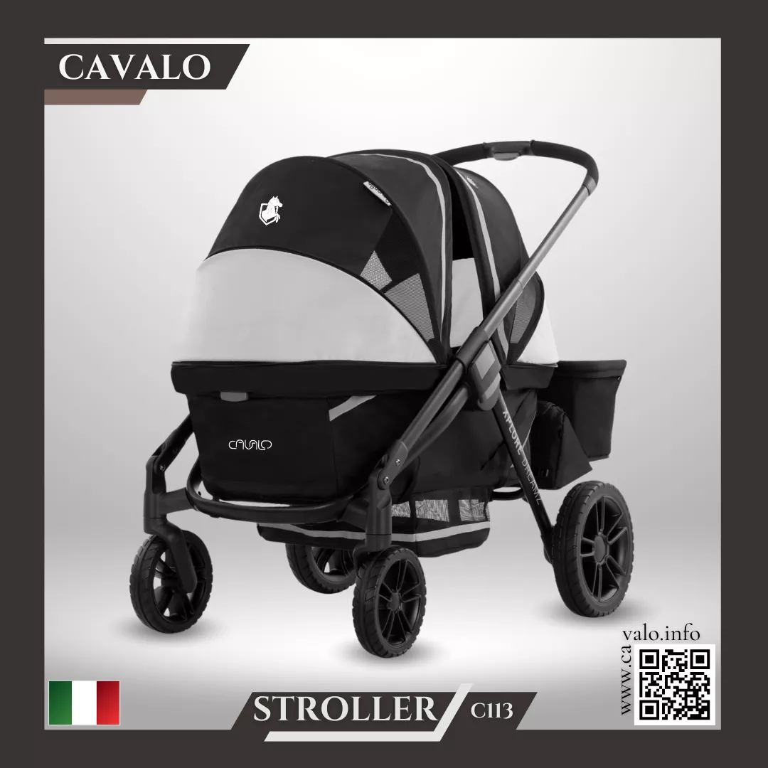 C113 Stroller