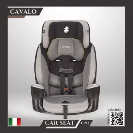 C213 Car seat