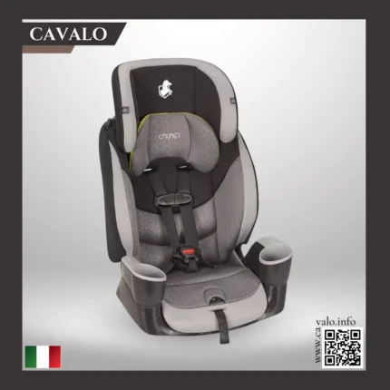 C213 Car seat