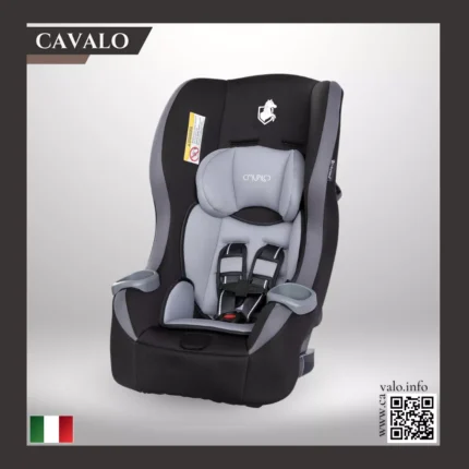 C351 Car seat